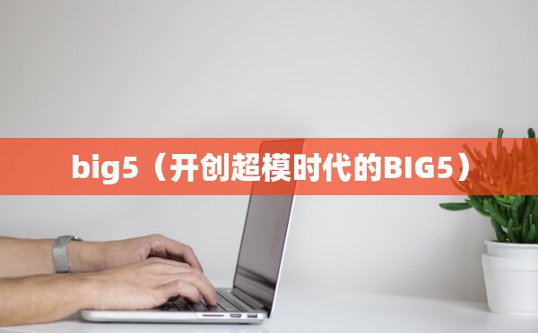 big5（开创超模时代的BIG5）