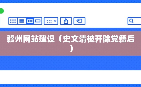 赣州网站建设（史文清被开除党籍后）