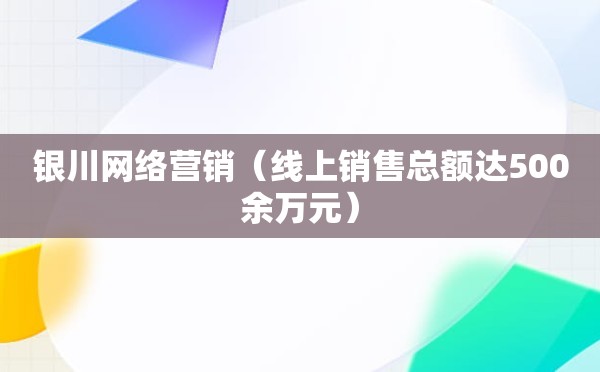 银川网络营销（线上销售总额达500余万元）