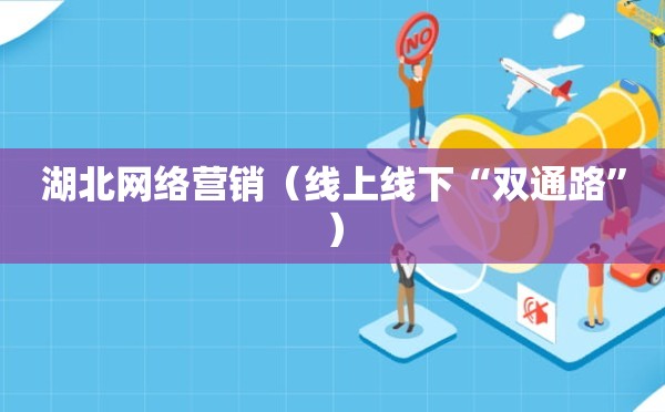 湖北网络营销（线上线下“双通路”）