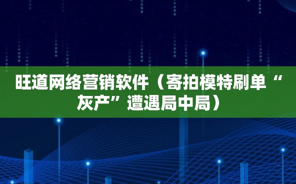 旺道网络营销软件（寄拍模特刷单“灰产”遭遇局中局）