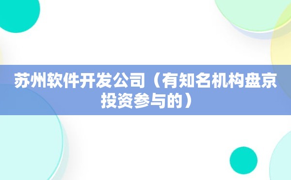 苏州软件开发公司（有知名机构盘京投资参与的）