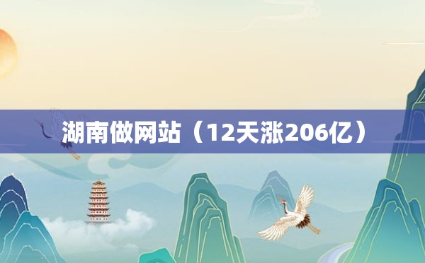 湖南做网站（12天涨206亿）