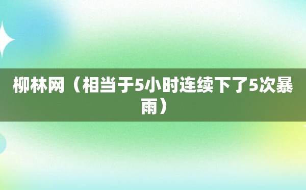 柳林网（相当于5小时连续下了5次暴雨）