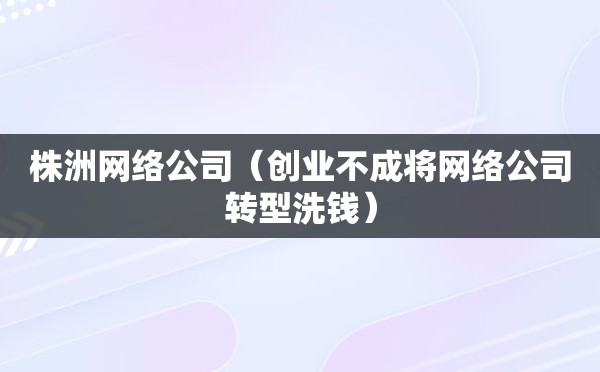 株洲网络公司（创业不成将网络公司转型洗钱）