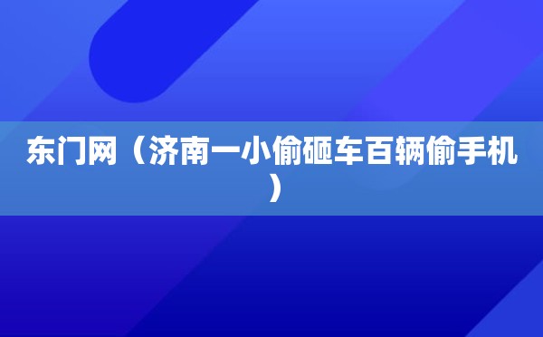 东门网（济南一小偷砸车百辆偷手机）