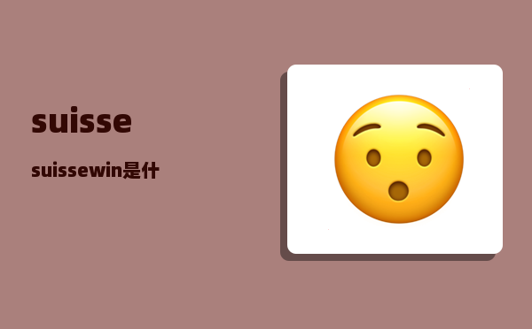 suisse_suissewin是什么牌子的包