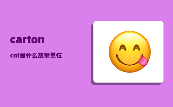 carton_cnt是什么数量单位