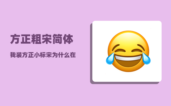 方正粗宋简体_我装方正小标宋为什么在word里不显示