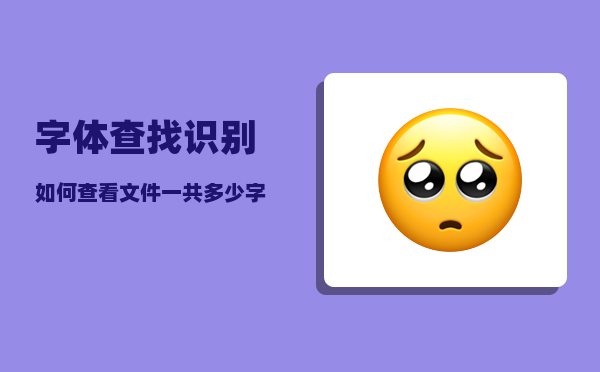 字体查找识别_如何查看文件一共多少字符字数