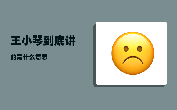 王小琴_到底讲的是什么意思