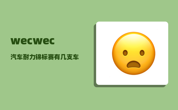 wec_wec汽车耐力锦标赛有几支车队