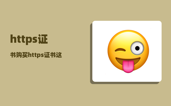 https证书购买（https证书这么设置）