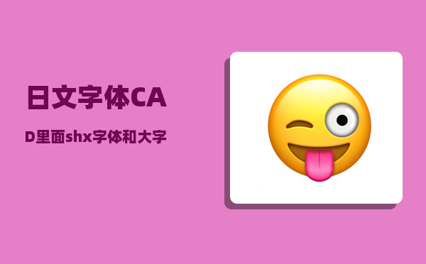 日文字体_CAD里面shx字体和大字体有什么不同