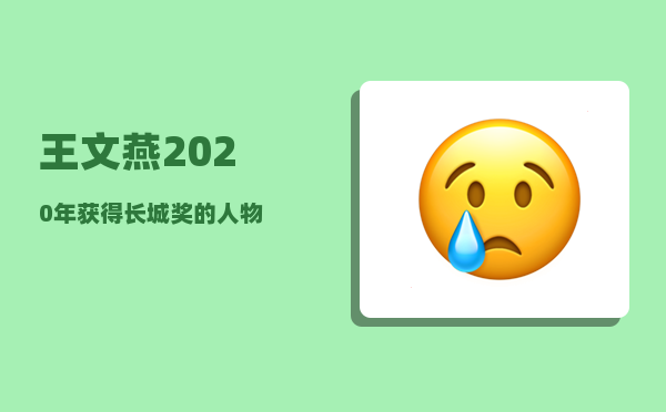 王文燕_2020年获得长城奖的人物