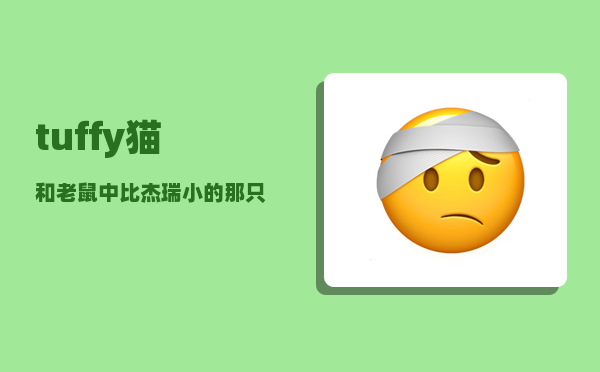 tuffy_猫和老鼠中比杰瑞小的那只灰色小老鼠叫什么名字