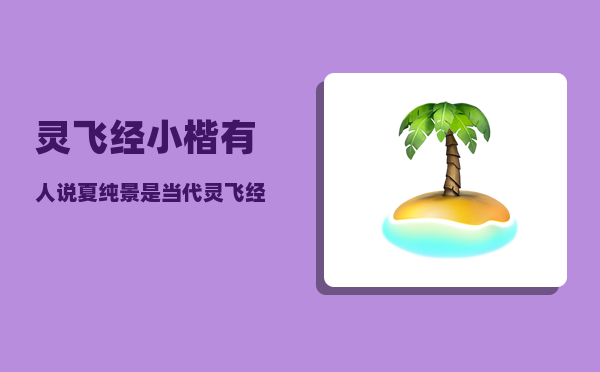 灵飞经小楷_有人说夏纯景是当代灵飞经写的最传神的一位书法家