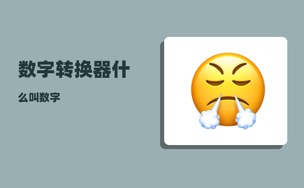 数字转换器_什么叫数字