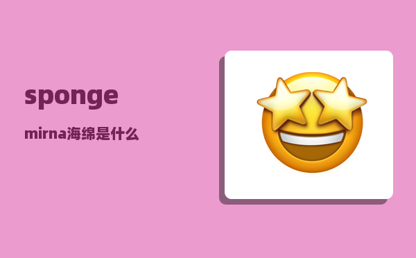 sponge_mirna海绵是什么