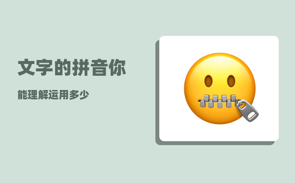 文字的拼音_你能理解运用多少