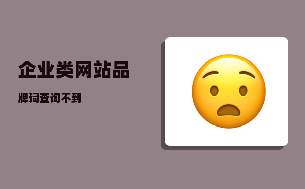 企业类网站（品牌词查询不到）