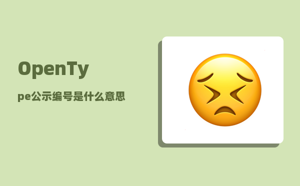 OpenType_公示编号是什么意思