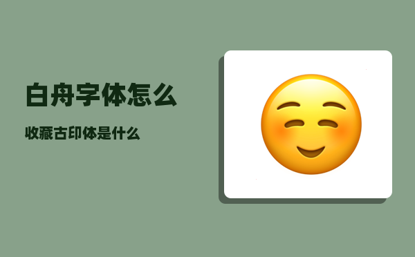 白舟字体怎么收藏（古印体是什么）