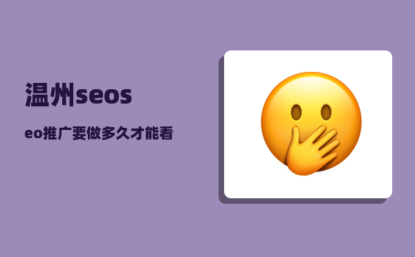 温州seo（seo推广要做多久才能看到效果）