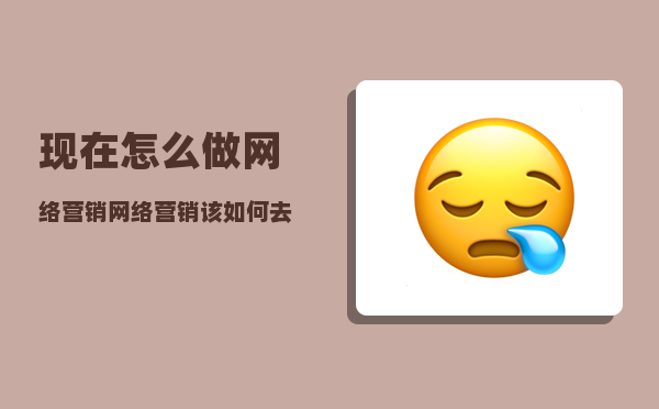 现在怎么做网络营销（网络营销该如何去进行）