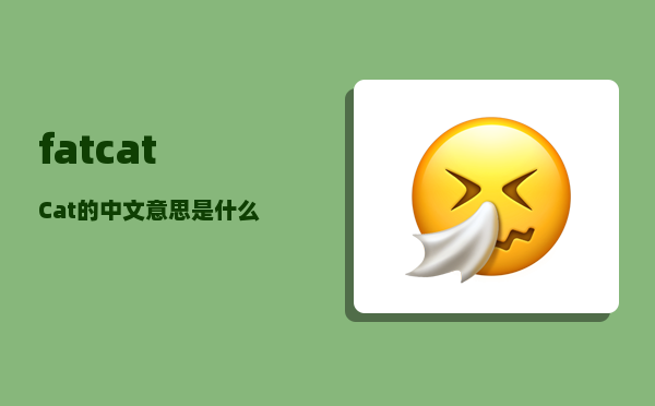 fatcat_Cat的中文意思是什么