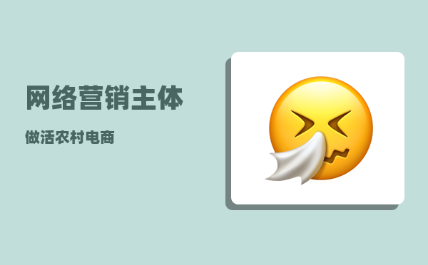 网络营销主体（做活农村电商）