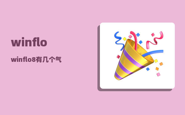 winflo_winflo8有几个气垫