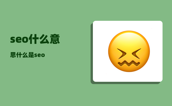 seo 什么意思（什么是seo）