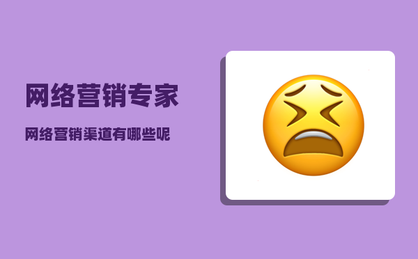 网络营销 专家（网络营销渠道有哪些呢）