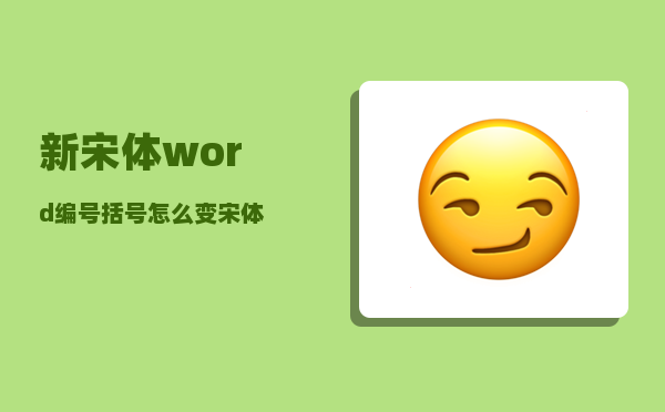 新宋体_word编号括号怎么变宋体