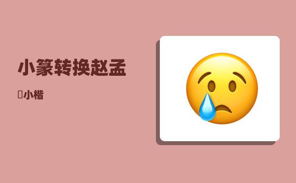 小篆转换_赵孟頫小楷